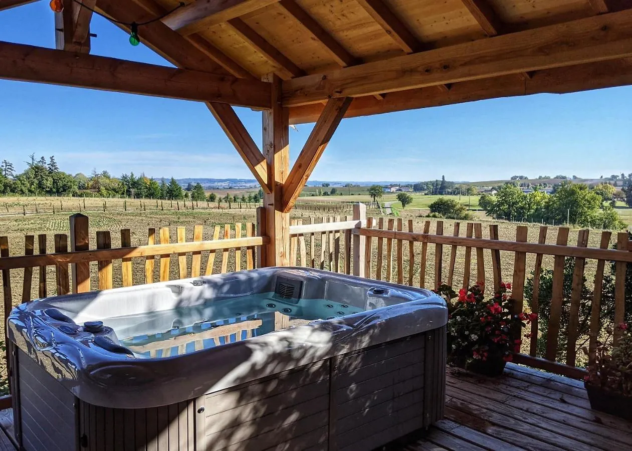 Chateau Des Fousseries Condom Guest house