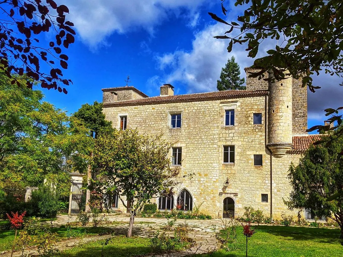 Chateau Des Fousseries Condom Guest house