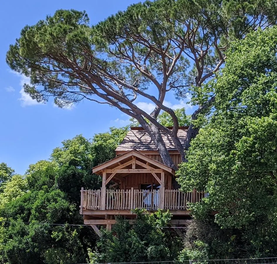 Chateau Des Fousseries Condom Guest house
